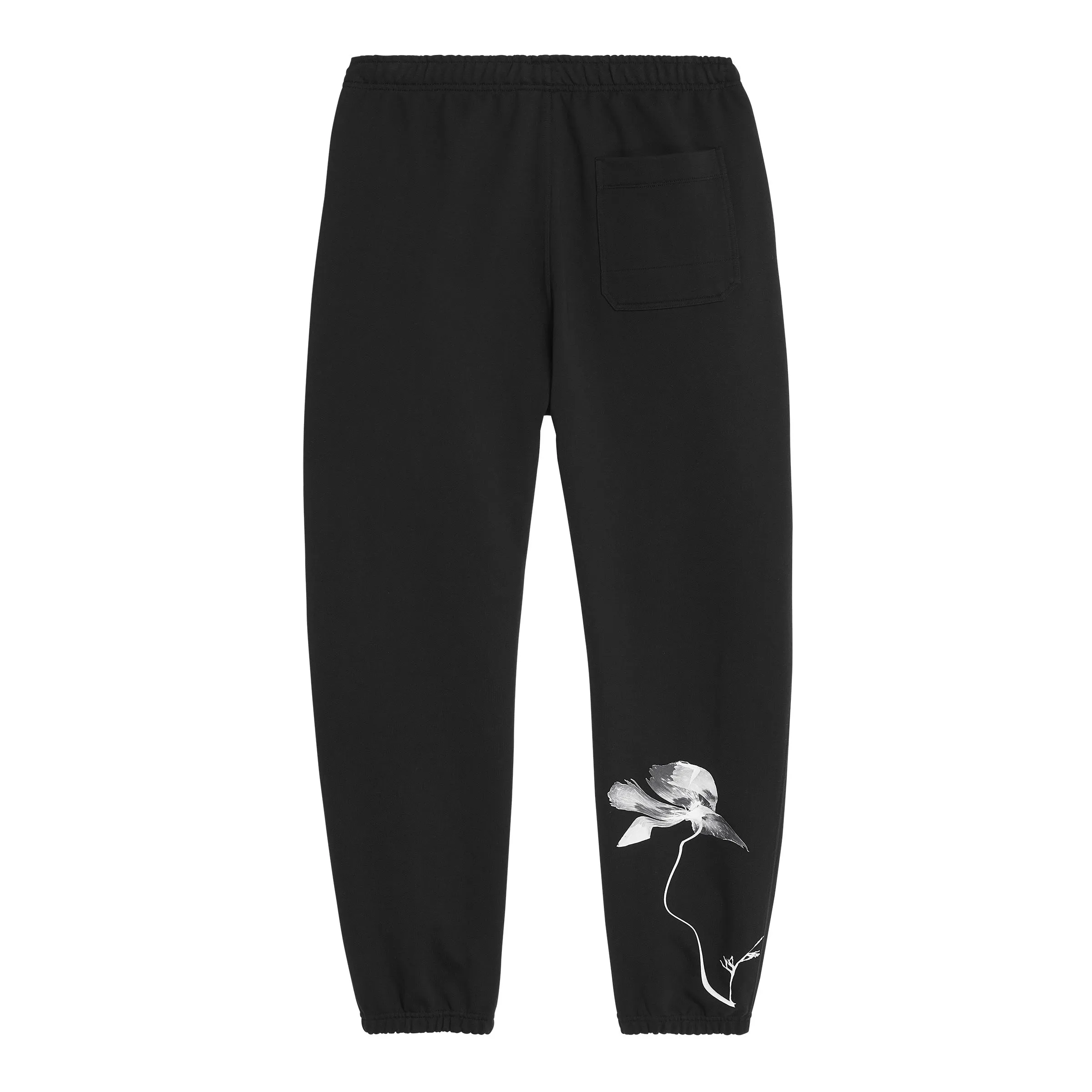 ADIDAS Y-3 Graphic French Terry Pant Black