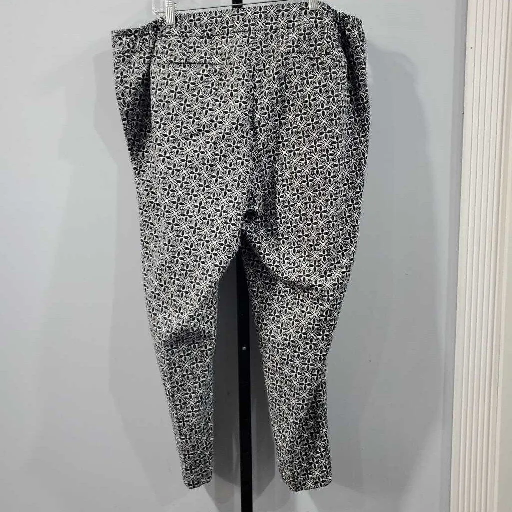 Talbots Pants 22W